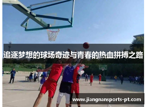 追逐梦想的球场奇迹与青春的热血拼搏之路